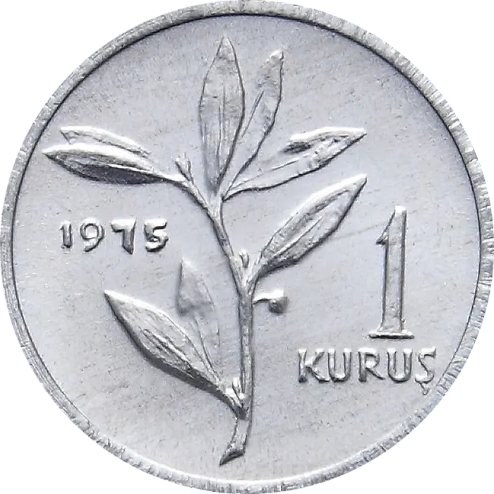 1 Kuruş (Tip IV)